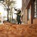 Gerardo Morales rakes together piles of leaves on North Washington Street in Ypsilanti on Wednesday. Daniel Brenner I AnnArbor.com